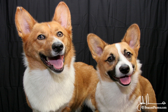 Percy and Rigel_3