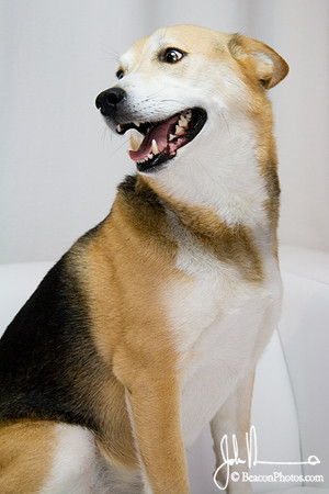 Lucas_0007_LS.jpg