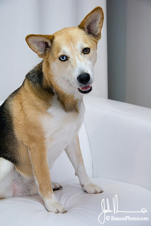 Lucas_0010_LS.jpg