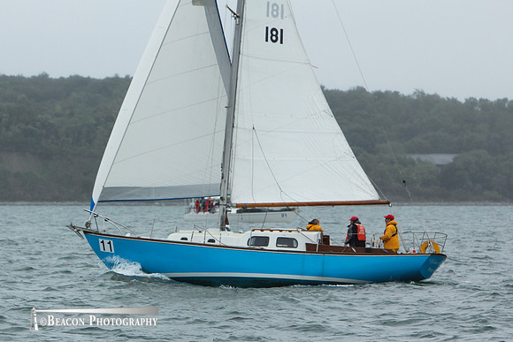 BHI-011C