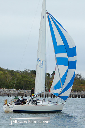 BHI-029F