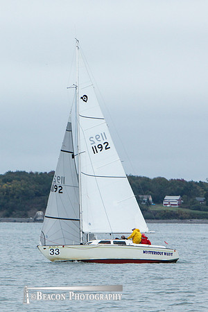 BHI-033B