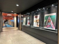 image5