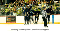 WHS Hockey Photos