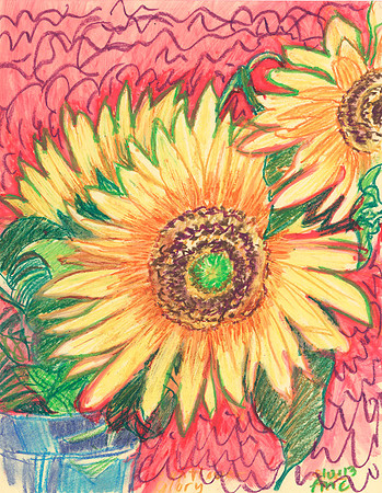 SUNFLOWER ENERGY ii- op 11-12, e