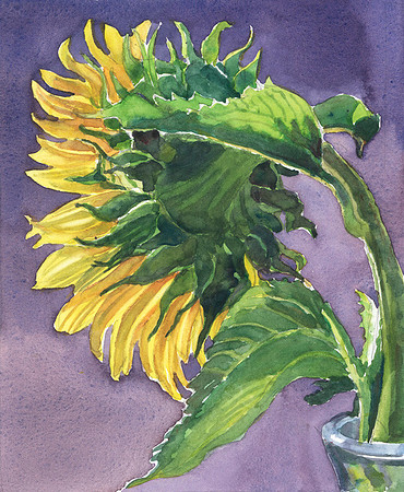 FLOWER'S SUNLIGHT 02 e