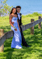 Prom-6450