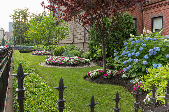 IMG_6698