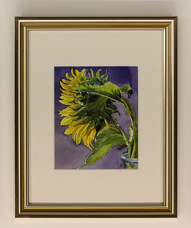 Flower’s Sunlight