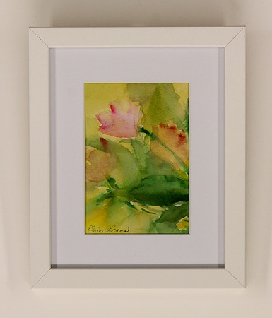 Tulips in Pink