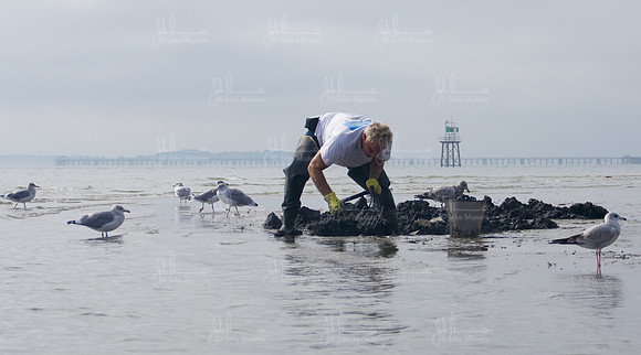 IMG_9571
