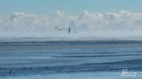 Beacon-8679