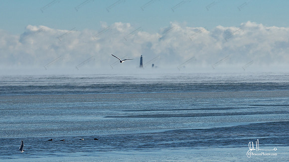 Beacon-8679