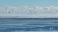 Beacon-8682