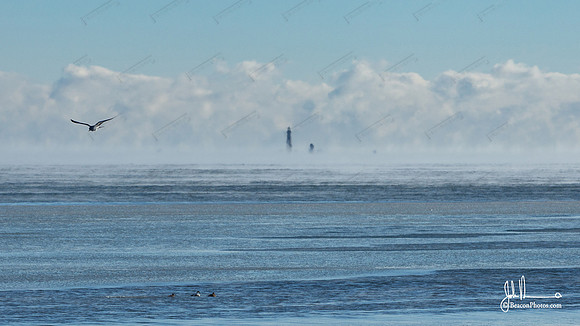 Beacon-8682