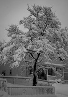 Beacon-5082