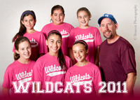 WILDCATS