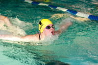 Butterfly Stroke