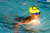The Breast Stroke