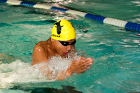 The Breast Stroke