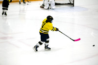 Girls Hockey Photos
