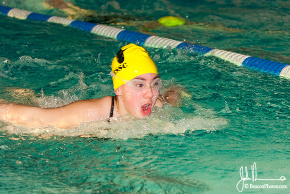 Butterfly Stroke