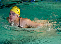 Butterfly Stroke
