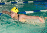 Butterfly Stroke