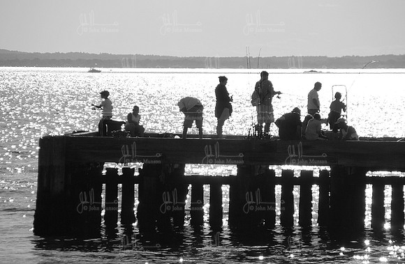 IMG_8495