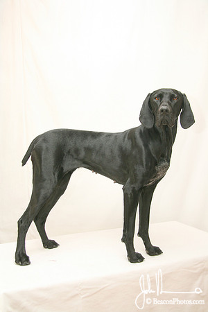 Gracie 057_JM.jpg