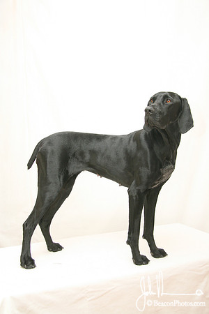 Gracie 055_JM.jpg