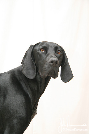 Gracie 053_JM.jpg