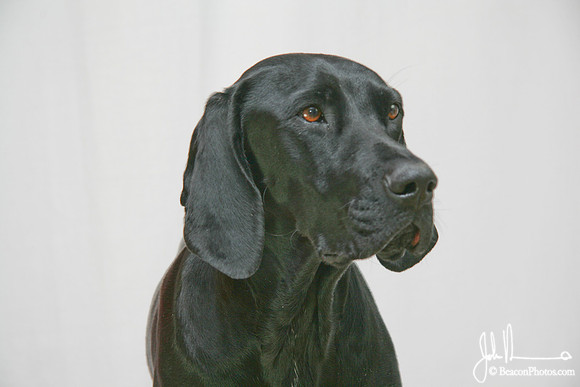 Gracie 038_JM.jpg