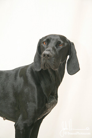 Gracie 054_JM.jpg