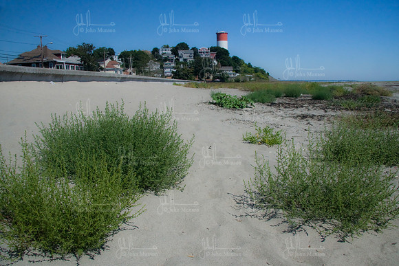 WinthropBeaches-0090