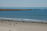 WinthropBeaches-0091