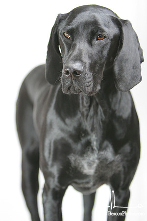 Gracie 072_JM.jpg