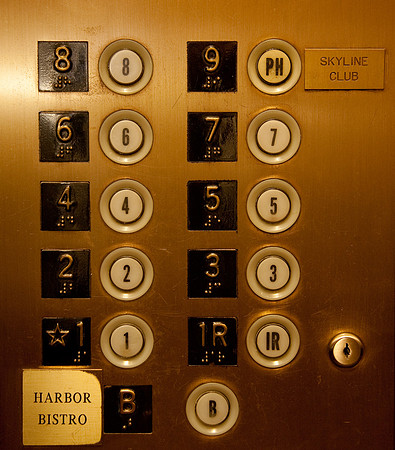 SealHarbor-1125