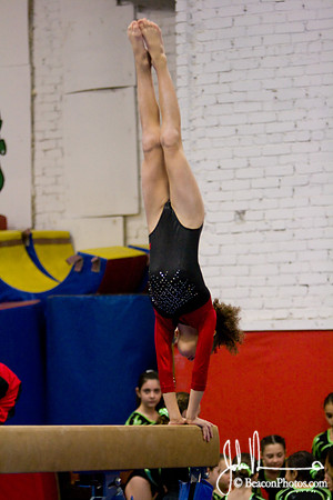 Gymnastics 411