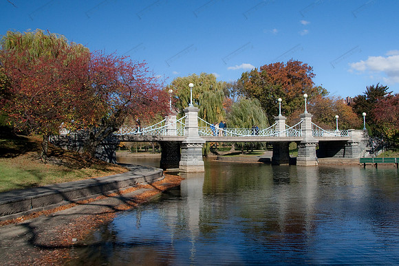 Boston Commons