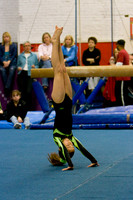 2009-03-15 Winthrop Gymnastics Academy Meet