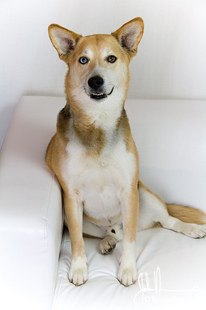 Lucas_0005_LS.jpg