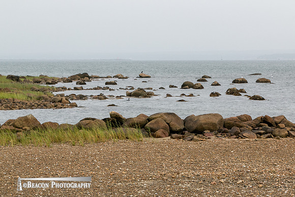 Beacon-0754-2