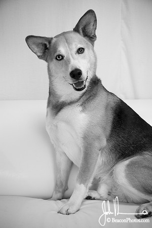 Lucas_0013_LS.jpg