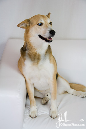 Lucas_0002_LS.jpg
