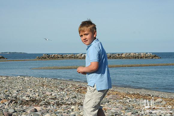 selects02
