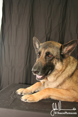 kolgan_8