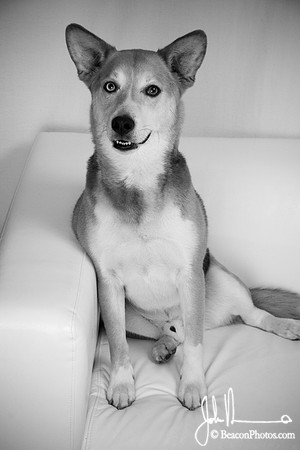 Lucas_0006_LS.jpg