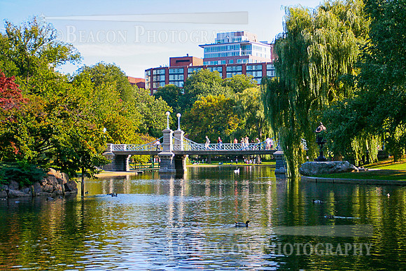 Boston_Commons023