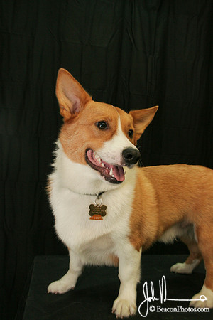 George_2
